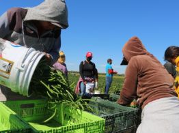 México registró la mayor pérdida de empleos permanentes desde 2015