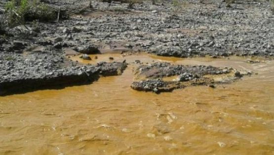 A 11 años del derrame tóxico en el Río Sonora, Comités denuncian abandono del Gobierno Federal