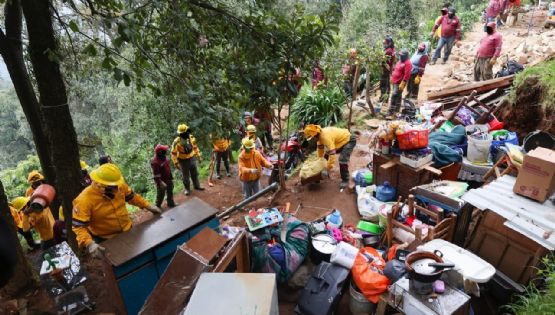 Recuperan cuatro hectáreas invadidas en la zona boscosa de Los Dinamos