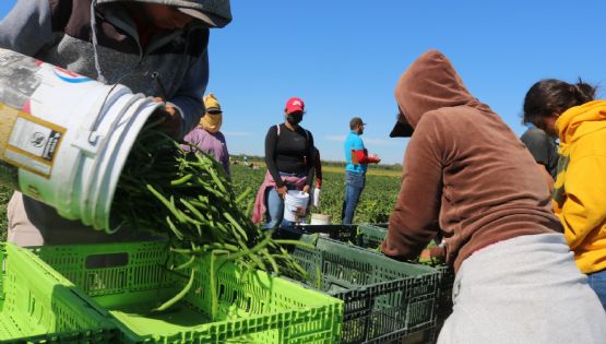 México registró la mayor pérdida de empleos permanentes desde 2015