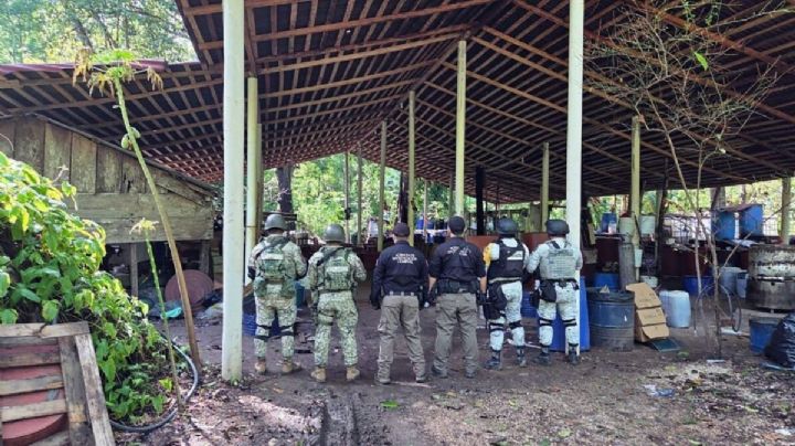 Desmantelan narcolaboratorio en Palenque, Chiapas; incautaron 900 kilogramos de metanfetaminas