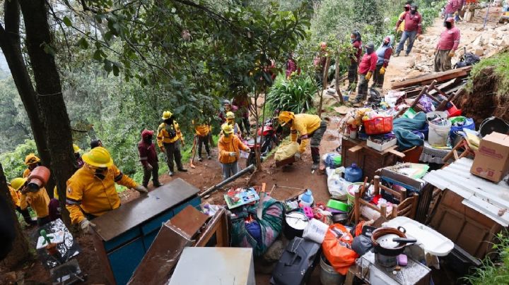 Recuperan cuatro hectáreas invadidas en la zona boscosa de Los Dinamos