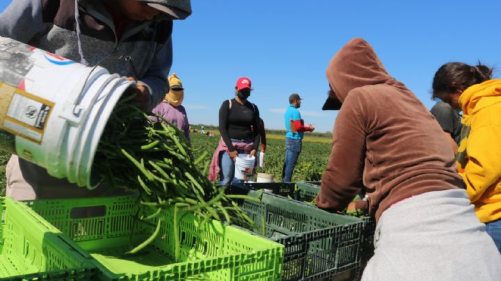 México registró la mayor pérdida de empleos permanentes desde 2015