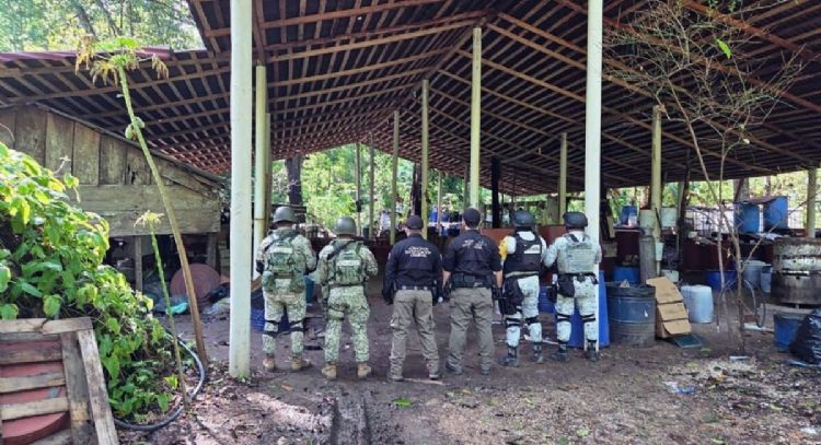 Desmantelan narcolaboratorio en Palenque, Chiapas; incautaron 900 kilogramos de metanfetaminas