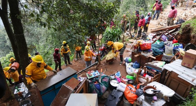 Recuperan cuatro hectáreas invadidas en la zona boscosa de Los Dinamos