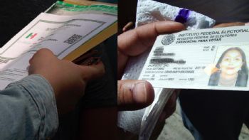 CURP vs. INE: batalla por la identidad digital