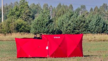 Polonia anuncia que derribó drones rusos que violaron su espacio aéreo durante bombardeos en Ucrania