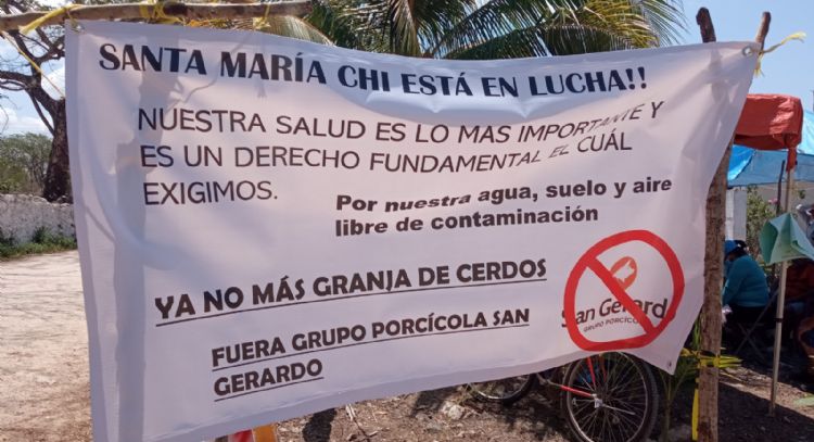 Tras dos años de lucha del pueblo maya, Profepa clausura definitivamente granja de Santa María Chi
