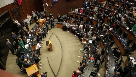 Rinden protesta integrantes del Consejo Nacional Ciudadano del Sistema Nacional de Búsqueda