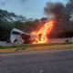 Yucatán y Campeche de luto: accidente vial cobra la vida de 15 personas
