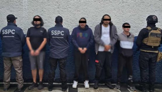Hallan invernadero de mariguana en CDMX; hay cuatro detenidos vinculados a La Familia Michoacana