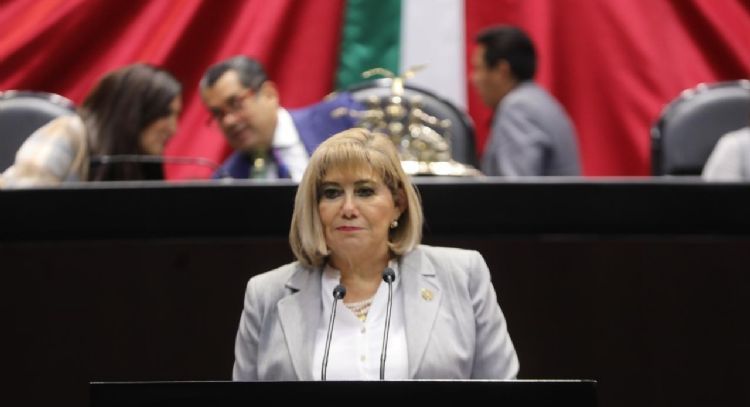 Diputada del PRI pide al gobierno federal implementar programa nacional de baches