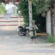 Triple homicidio en Yautepec: encapuchados someten a guardias para matar a dos mujeres y un hombre