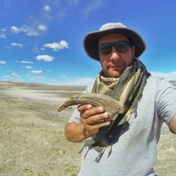 Descubren dinosaurio con poderosas garras en Argentina