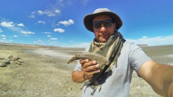 Descubren dinosaurio con poderosas garras en Argentina