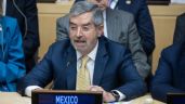 Foto ilustrativa de la nota titulada: Que la próxima secretaria general de la ONU “sea una mujer de nuestra región”: De la Fuente