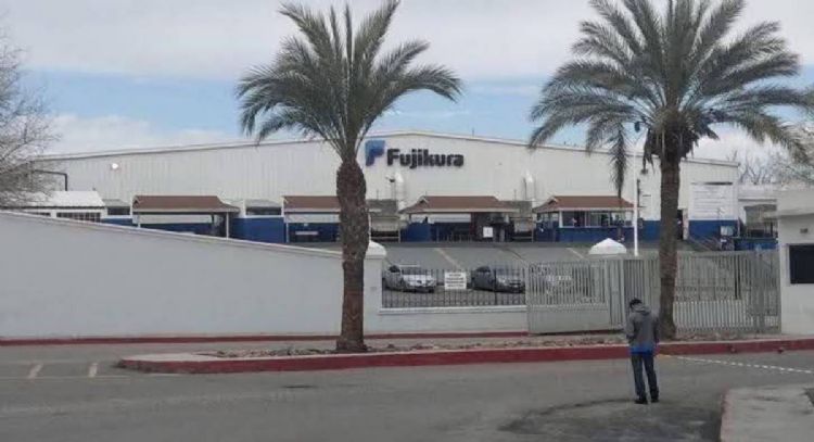 Continúan despidos en Coahuila: Fujikura suma más de 800 empleados cesados