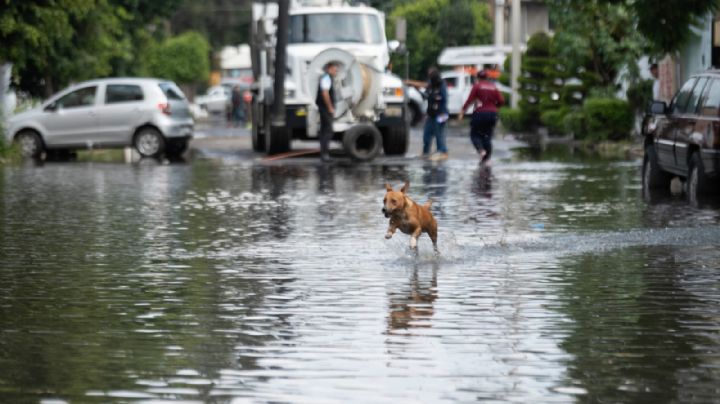 Azotarán lluvias intensas con riesgo de encharcamientos e inundaciones entre lunes y jueves