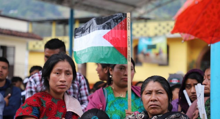 Fieles católicos se movilizan en 20 municipios por la paz en Palestina y exigen alto al genocidio