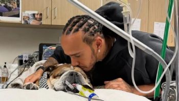 Lewis Hamilton dice que la muerte de su perro Roscoe es "una de las experiencias más dolorosas"
