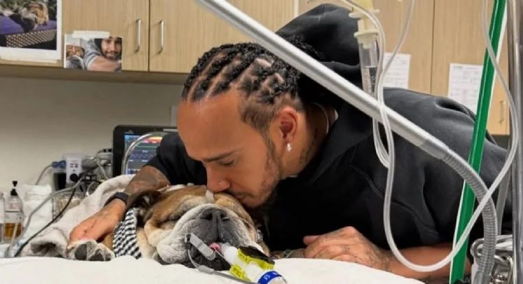 Lewis Hamilton dice que la muerte de su perro Roscoe es "una de las experiencias más dolorosas"