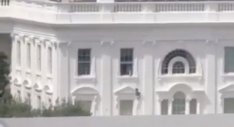 Trump: Video que muestra objetos lanzados desde la Casa Blanca es IA; su equipo dice que es real