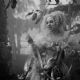 Lady Gaga estrena video grabado en Xochimilco y dirigido por Tim Burton