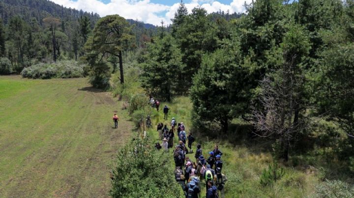 Siguen desapariciones en el Ajusco; la delincuencia opera con impunidad