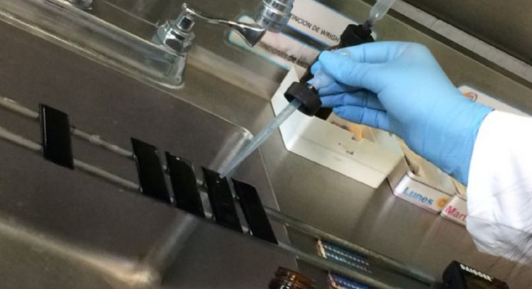 ISSEMYM desacata nulidad de contrato de laboratorio con Falcón-Arquina; Secretaría Anticorrupción in