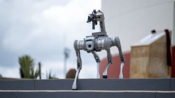 Perro robot vigilará Zacatecas; puede portar armas y realizar rescates