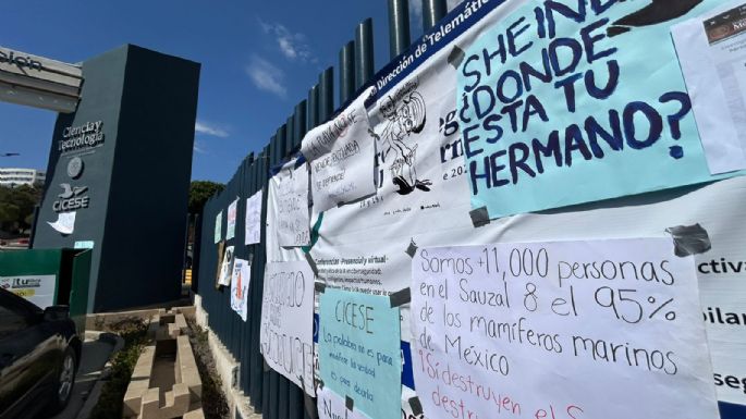 Activistas exigen a Julio Sheinbaum, hermano de Claudia Sheinbaum, defender a Ensenada de megapuerto
