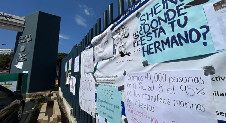 Activistas exigen a Julio Sheinbaum, hermano de Claudia Sheinbaum, defender a Ensenada de megapuerto