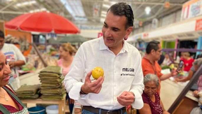 Senador del PVEM respalda ruptura con Morena en 2027: “nunca debemos olvidar que han habido ratas”