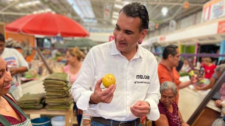 Senador del PVEM respalda ruptura con Morena en 2027: “nunca debemos olvidar que han habido ratas”