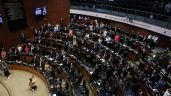 Foto ilustrativa de la nota titulada: El Senado aprueba a los nuevos integrantes del Consejo Nacional de Búsqueda