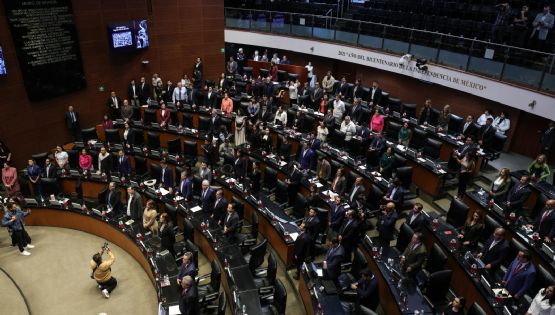 El Senado aprueba a los nuevos integrantes del Consejo Nacional de Búsqueda