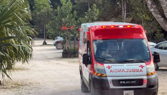 Matan a dos personas durante festivales de música electrónica en Tulum