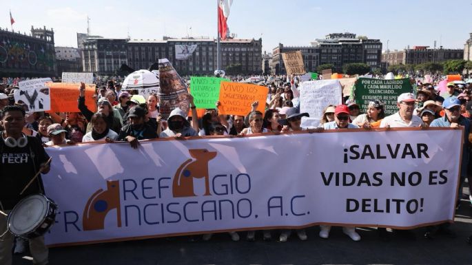 Jueza de la CDMX ordena devolver predio al refugio Franciscano