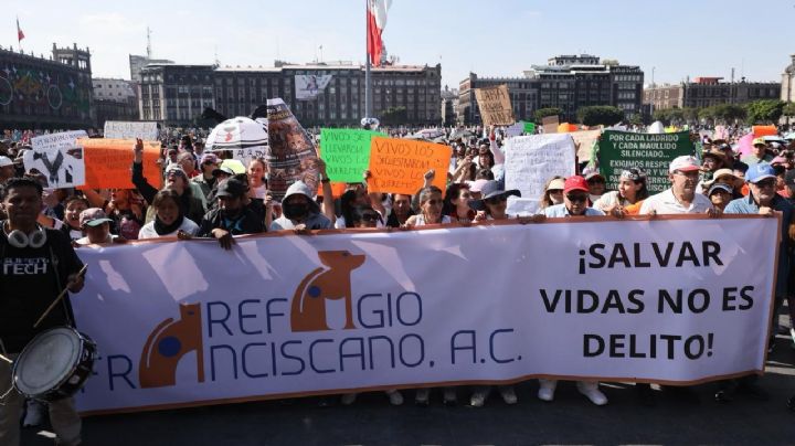 Jueza de la CDMX ordena devolver predio al refugio Franciscano