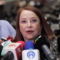 “No debe de ser el gobierno quien dirija el proceso electoral”: Laura Itzel Castillo