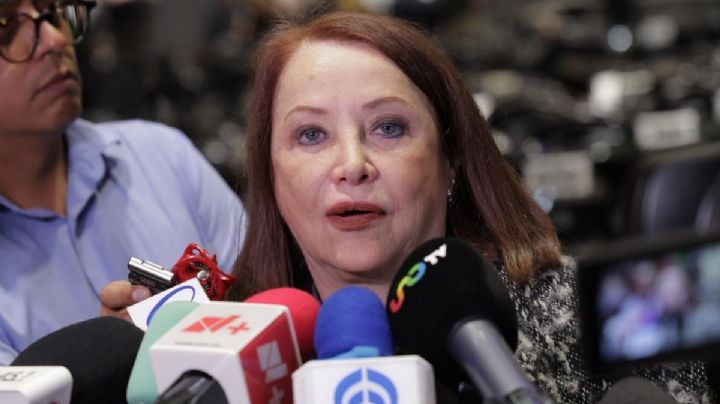 “No debe de ser el gobierno quien dirija el proceso electoral”: Laura Itzel Castillo