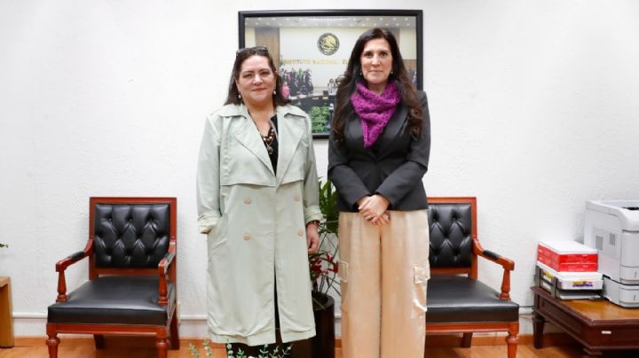 El INE tiene las puertas abiertas en la Cámara de Diputados: Kenia López Rabadán