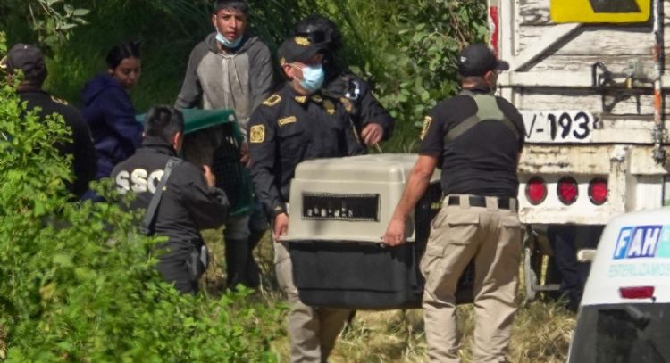 Refugio Franciscano, la disputa que enfrenta Morena en la CDMX