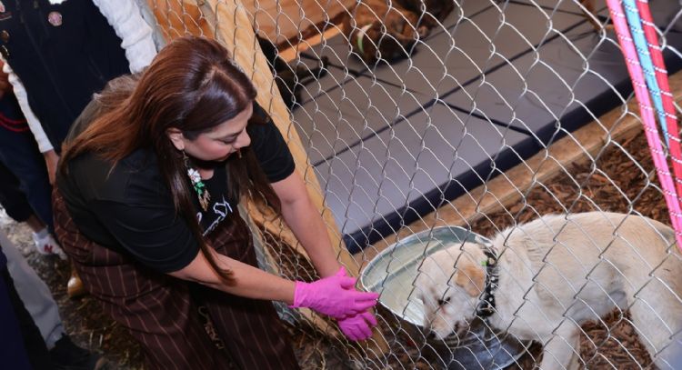 Brugada llama a la ciudadanía a sumar ideas por el bienestar animal