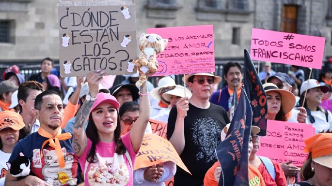 Nueva marcha animalista: comparan a Brugada con Cruella de Vil y “pasan lista” a víctimas (Video)