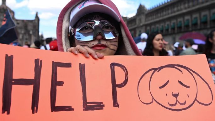 Nueva marcha animalista: comparan a Brugada con Cruella de Vil y “pasan lista” a víctimas (Video)