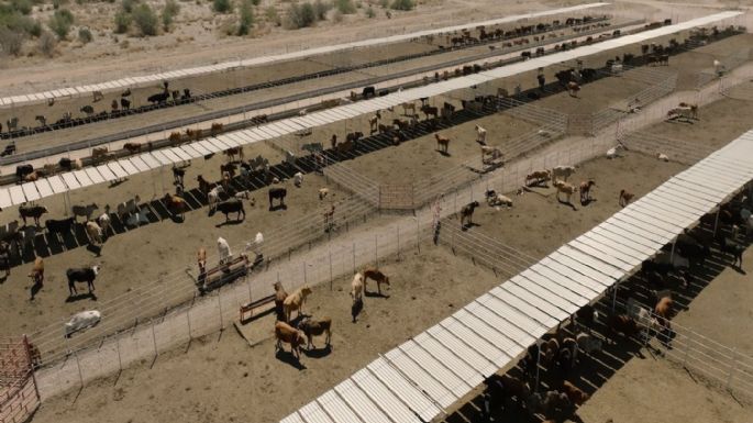 Durazo logra alianza con UGRS e impulsan más de 800 millones para parque industrial y modernización ganadera