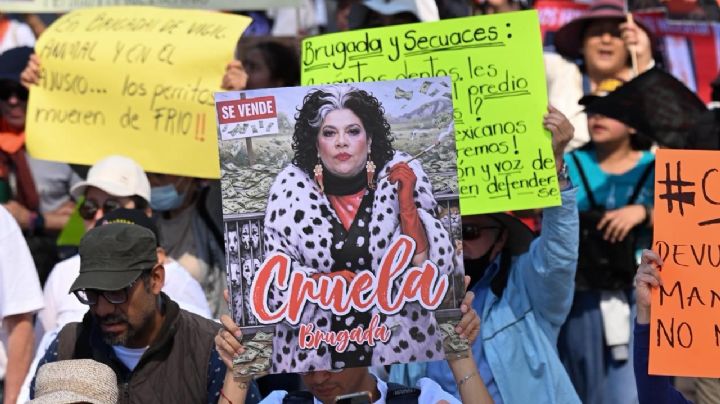 Nueva marcha animalista: comparan a Brugada con Cruella de Vil y “pasan lista” a víctimas (Video)