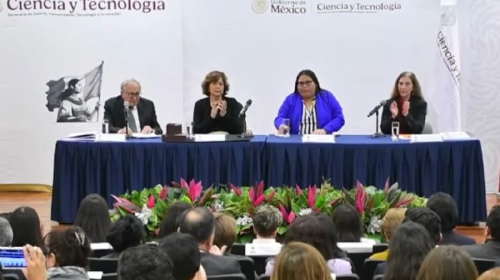 “Puede tomar sus decisiones”: secretaria de Ciencia responde al amparo de Romero Tellaeche