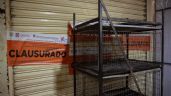 Foto ilustrativa de la nota titulada: Llaman a reforzar la vigilancia en el Mercado de Sonora contra la venta ilegal de animales